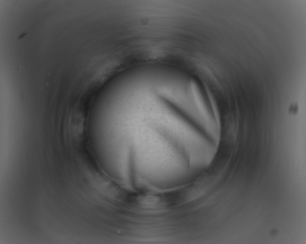 X0000094910230200712131500