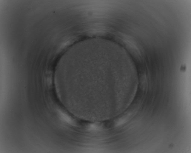 X0000094910232200712131500