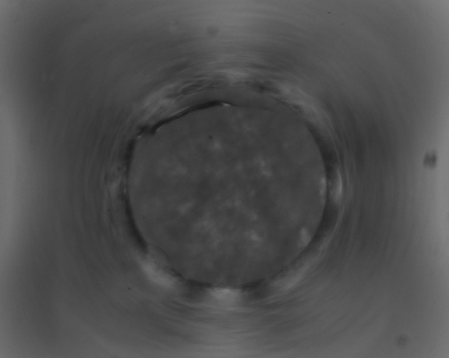 X0000094910233200712131500