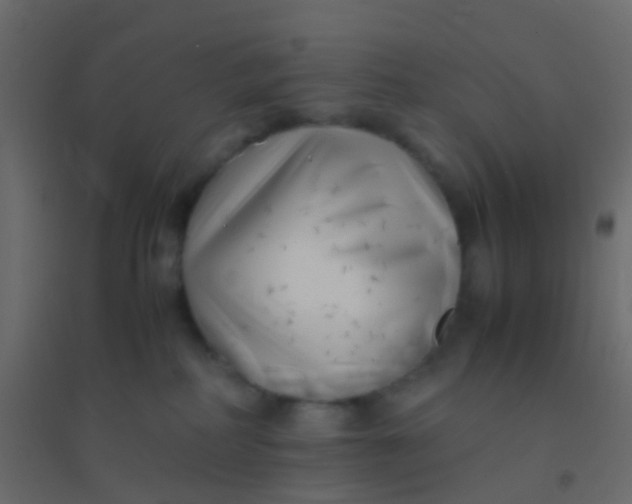 X0000094910234200712131459