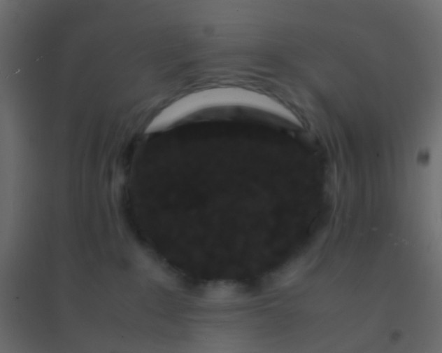 X0000094910235200712131459