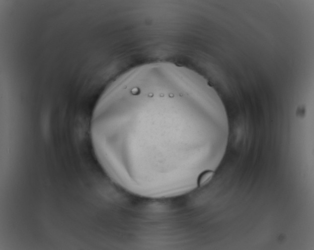 X0000094910236200712131459