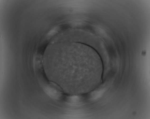 X0000094910237200712131459