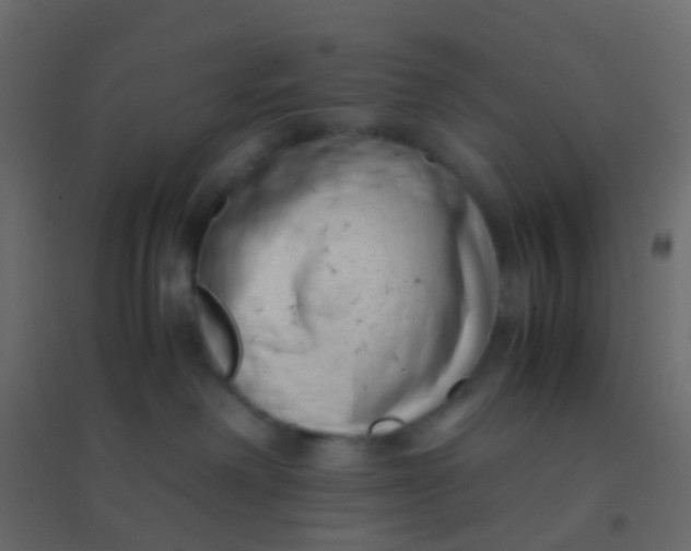 X0000094910238200712131459
