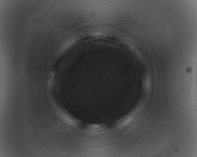 X0000094910239200712131459