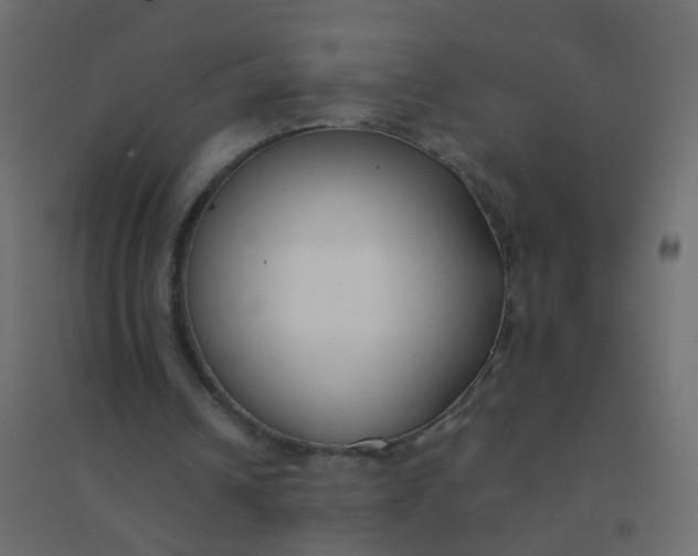 X0000094910242200712131459