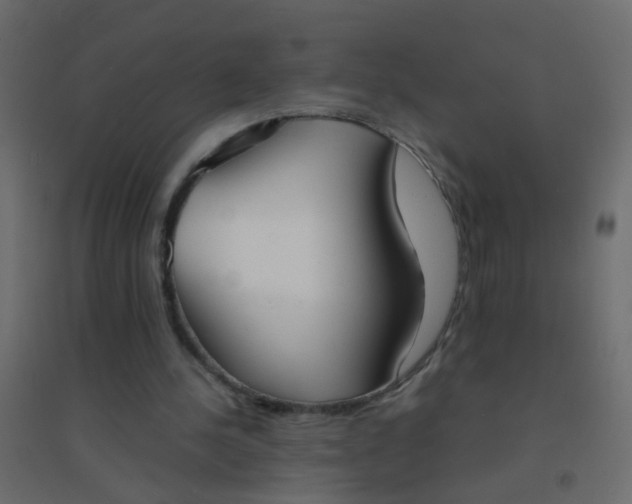 X0000094910244200712131459