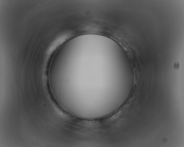 X0000094910245200712131459