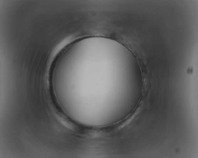 X0000094910246200712131459