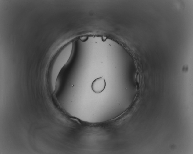 X0000094910247200712131459