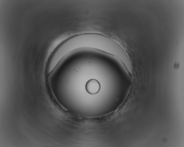 X0000094910248200712131459