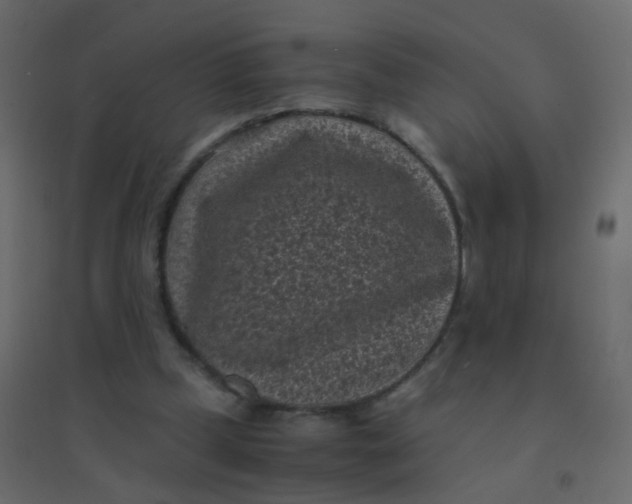 X0000094910249200712131459