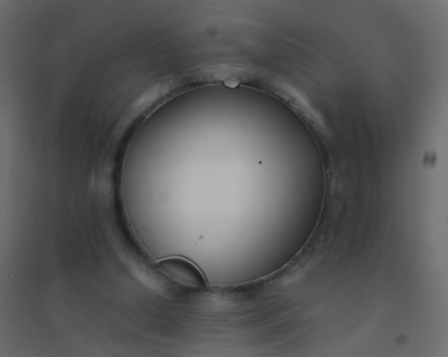 X0000094910250200712131459