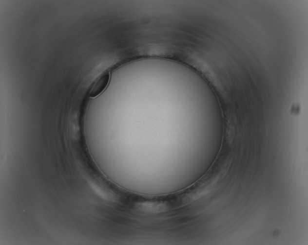 X0000094910251200712131459