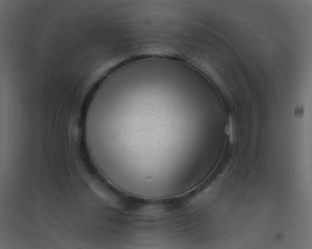 X0000094910252200712131459