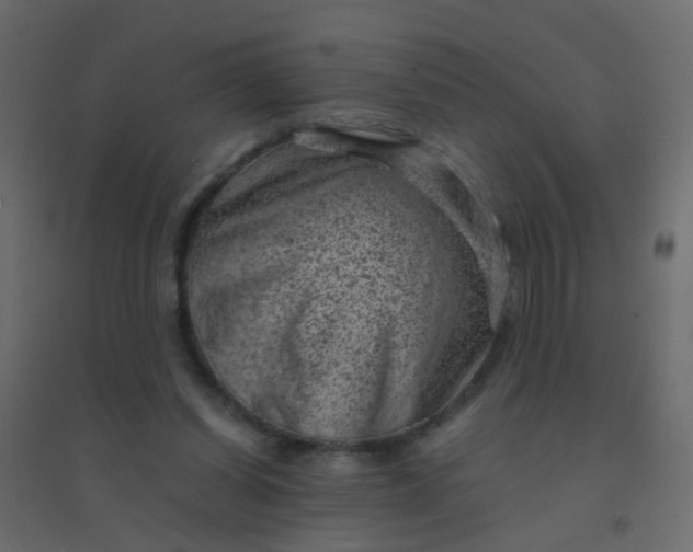 X0000094910254200712131459
