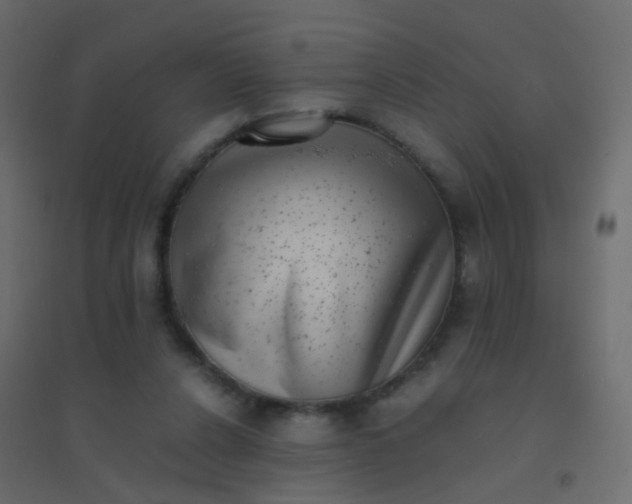 X0000094910256200712131459