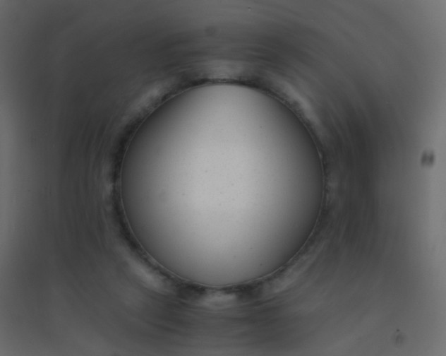 X0000094910257200712131459