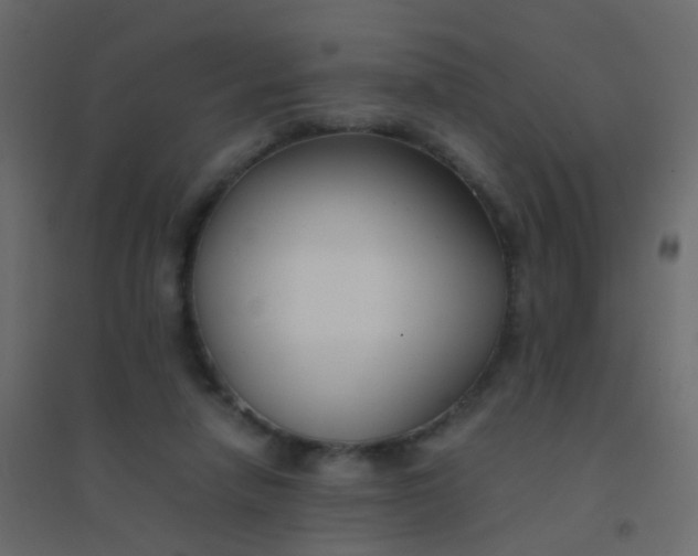 X0000094910258200712131459