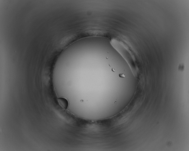 X0000094910259200712131459