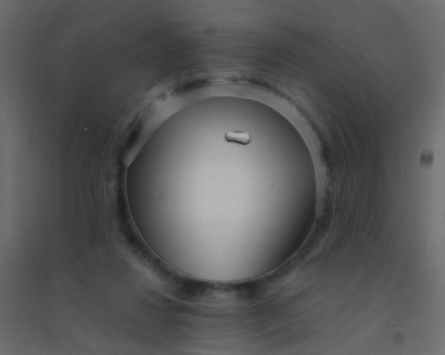 X0000094910260200712131459