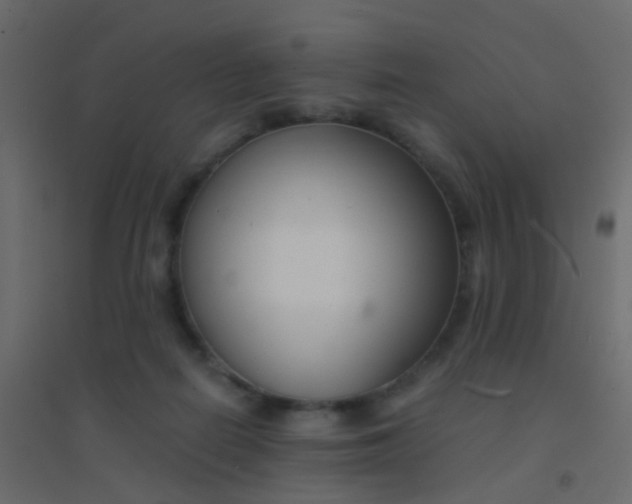 X0000094910266200712131459