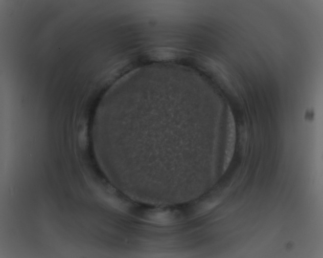 X0000094910267200712131459