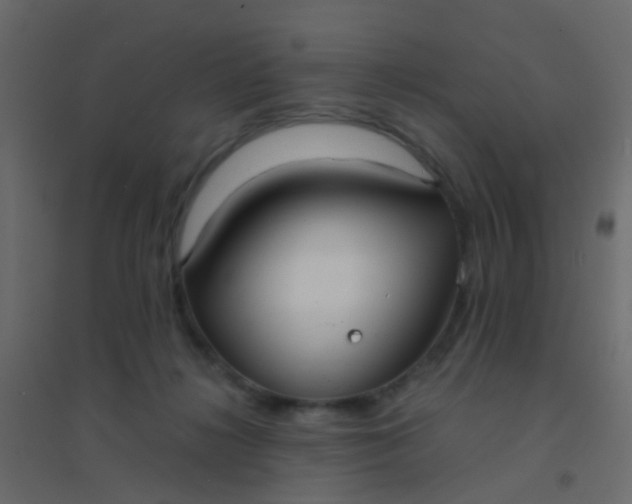 X0000094910268200712131459