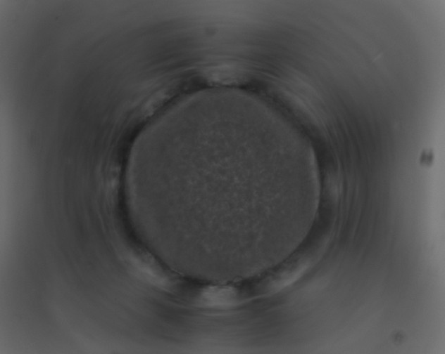 X0000094910271200712131459