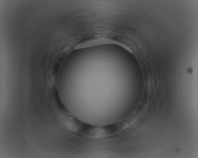 X0000094910276200712131459