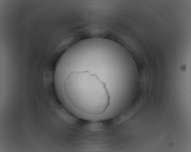 X0000094910278200712131459
