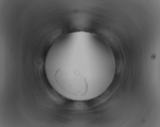 X0000094910279200712131459