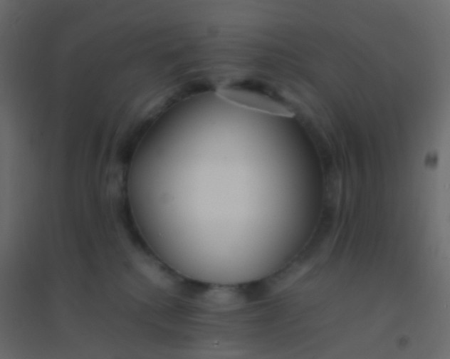 X0000094910280200712131459