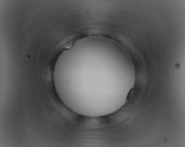 X0000094910282200712131459