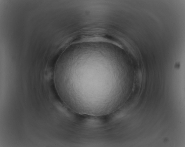 X0000094910284200712131459