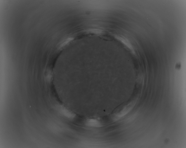 X0000094910285200712131459