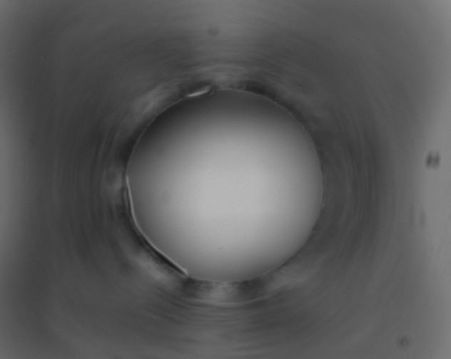 X0000094910288200712131459