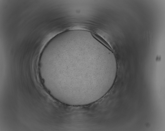 X0000094910289200712131459