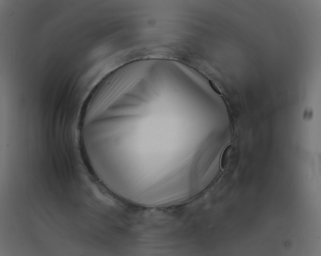 X0000094910290200712131459