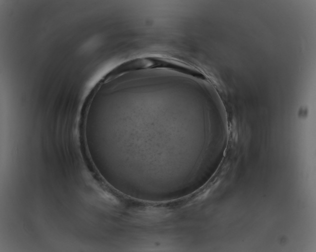 X0000094910292200712131459