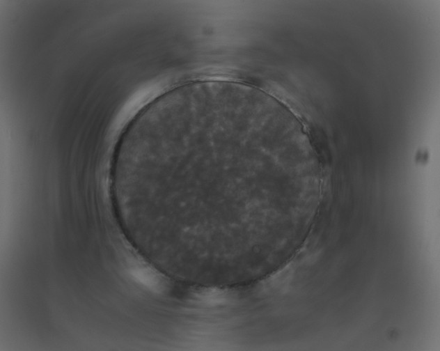 X0000094910293200712131459