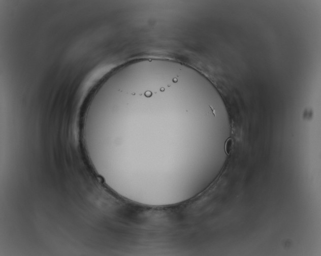 X0000094910294200712131458