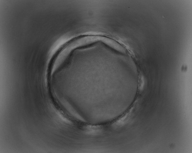 X0000094910296200712131458