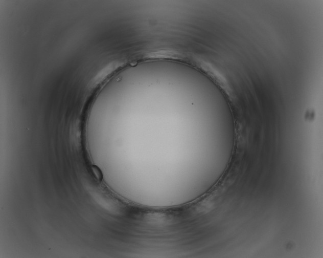 X0000094910298200712131458