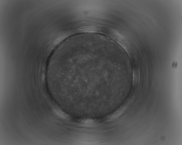 X0000094910301200712131458