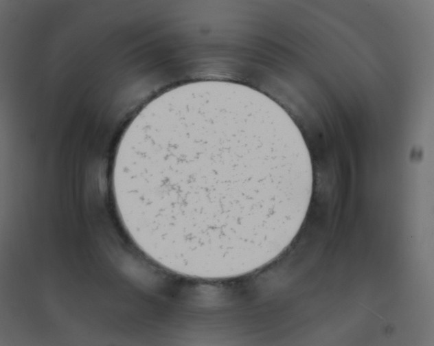 X0000094910302200712131458