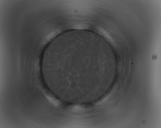 X0000094910303200712131458