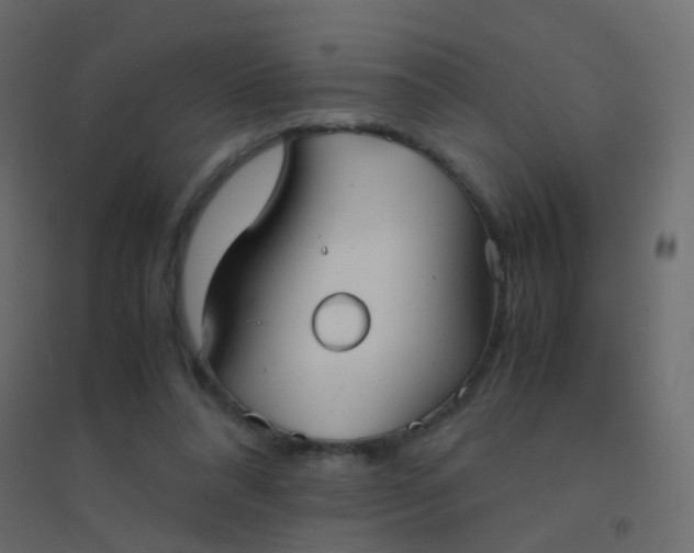 X0000094910304200712131458