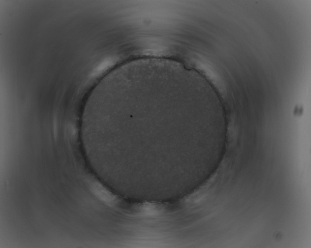 X0000094910305200712131458