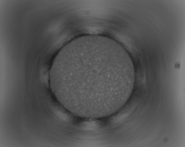 X0000094910307200712131458